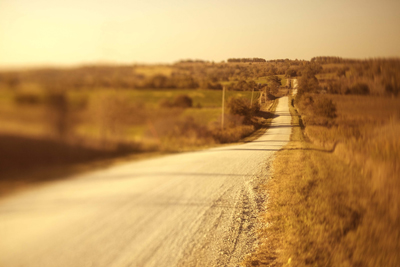 A picture of an open dirt road lined with trees.