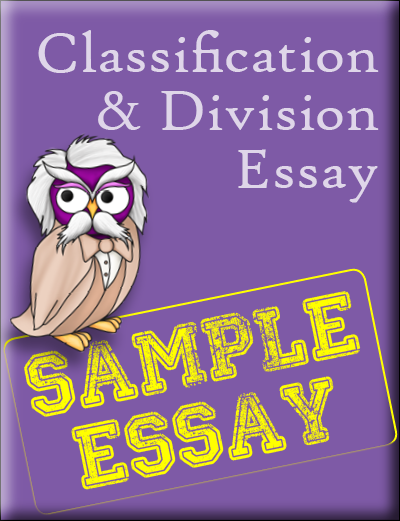 Sample Classification and Division Essay Thumbnail Image