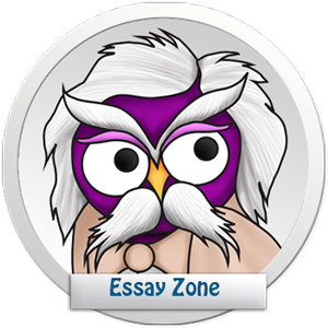 /essay_zone/